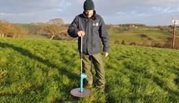 Spring grazing in autumn calving systems
